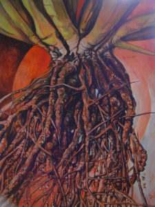 Read more about the article Uprooted